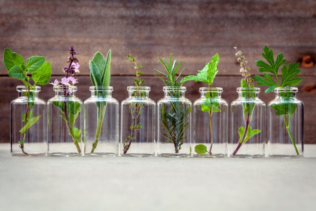 Naturheilkunde, Homöopathie